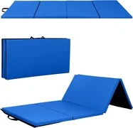 Transfer Training Floor Mat — Transfers